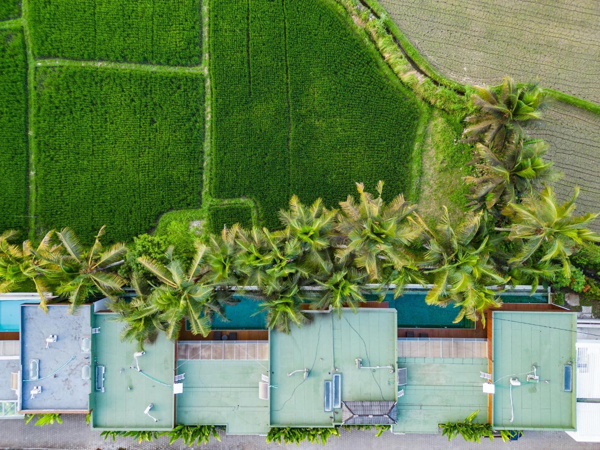 Green Flow Ubud Villa 20 ภายนอก รูปภาพ
